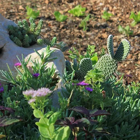 Okrug Gornji 8440c Lejlighed *